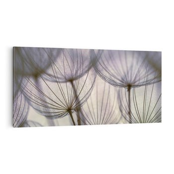 Obraz na płótnie 120x60 - Makro dmuchawiec - piękno drobnych detali - dmuchawce, makro