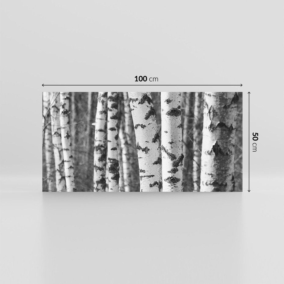 Obraz na płótnie 100x50 - Kontrast Monochromatyczny - brzozy, czarno