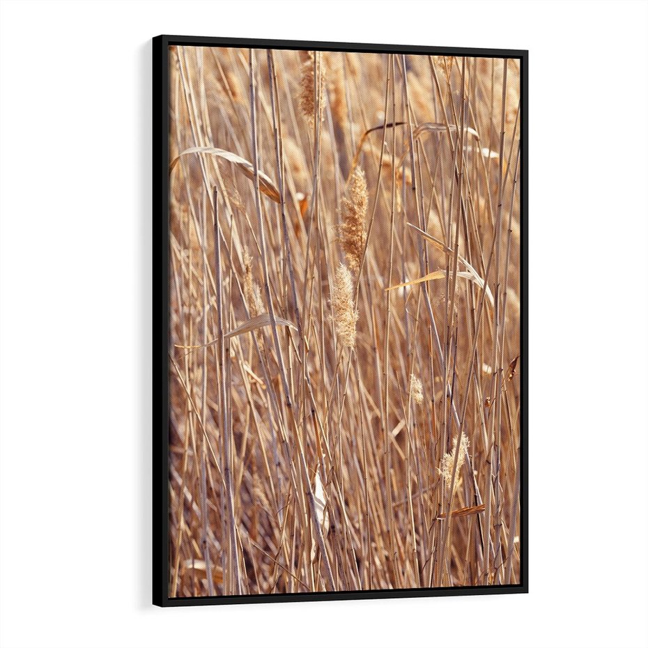 Obraz w ramie 70x100 - Mistrzowskie suche trawy - suche, trawy - rama czarna