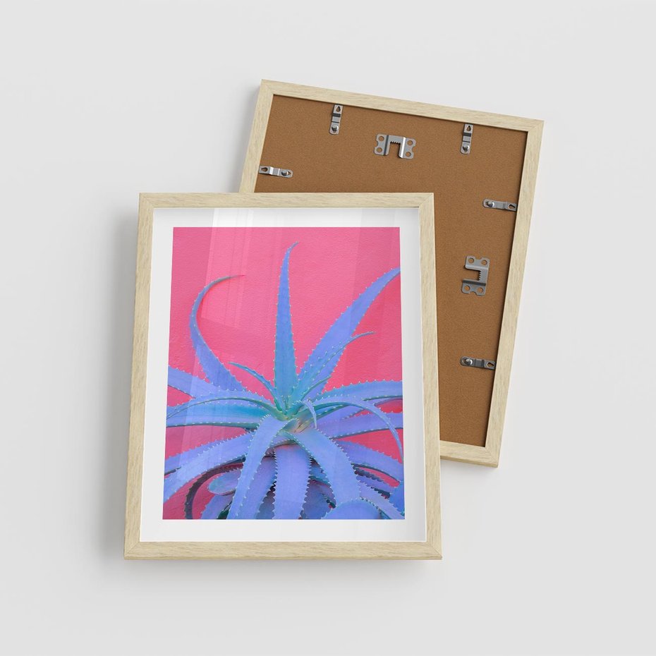 Plakat w ramie 40x50 - Piękno Pustyni - kaktusy, liście - rama drewno