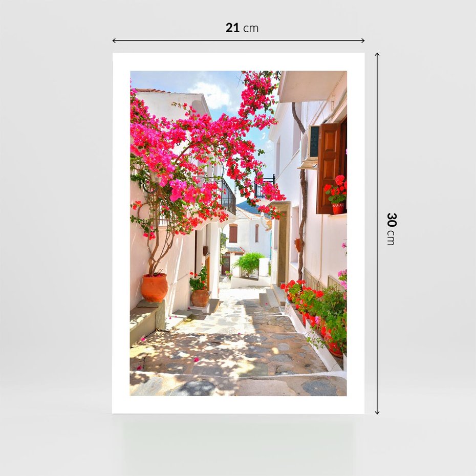 Plakat bez ramy 21x30 - Kwiatowa uliczka wakacji - kwiaty, uliczka