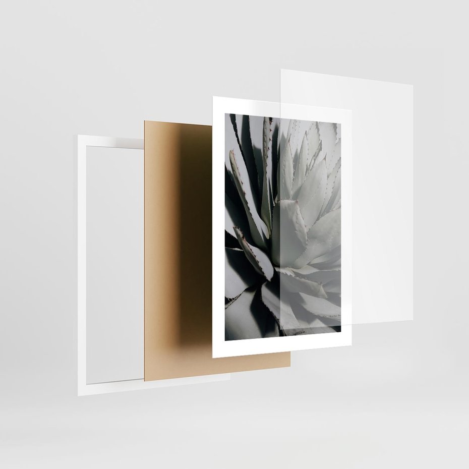 Plakat w ramie 30x40 - Egzotyczny Raj - sukulenty, kaktusy - rama biała