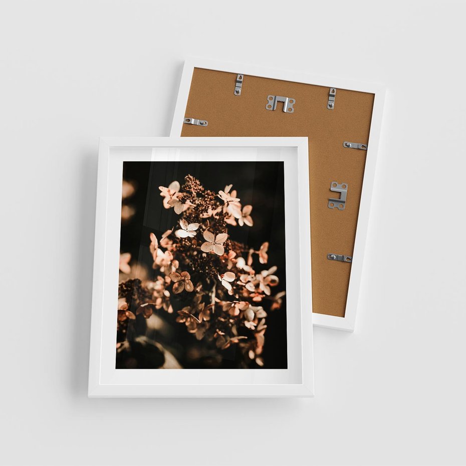 Plakat w ramie 40x50 - Hortensja - Suchy Kwiat w Sztuce - hortensja, suchy kwiat - rama biała