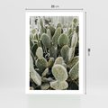Plakat bez ramy 21x30 - Kaktusowa Harmonia - kaktusy, fotografia