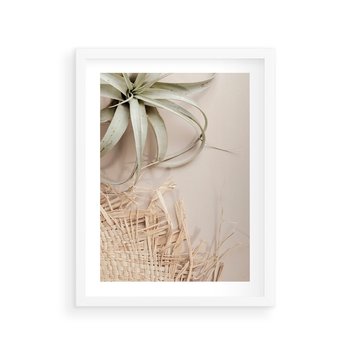 Plakat w ramie 40x50 - Aloes w Stylu Boho - kompozycja, wiklina - rama biała