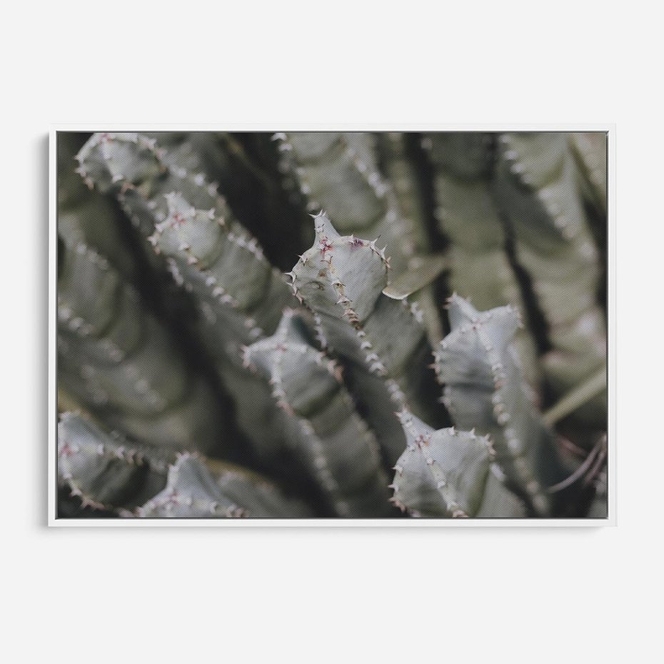 Obraz w ramie 120x80 - Boho kaktusy na pustyni - kaktusy, pustynia - rama biała