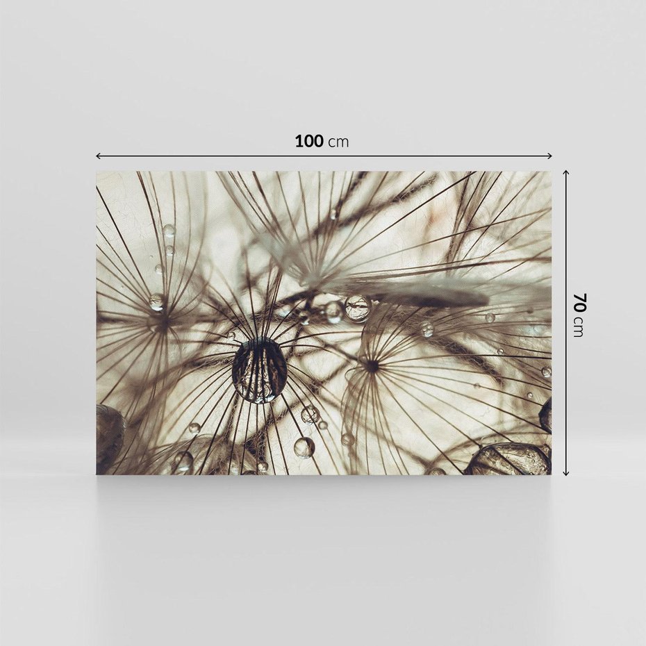 Obraz na płótnie 100x70 - Lekkie dmuchawce - dmuchawce, krople