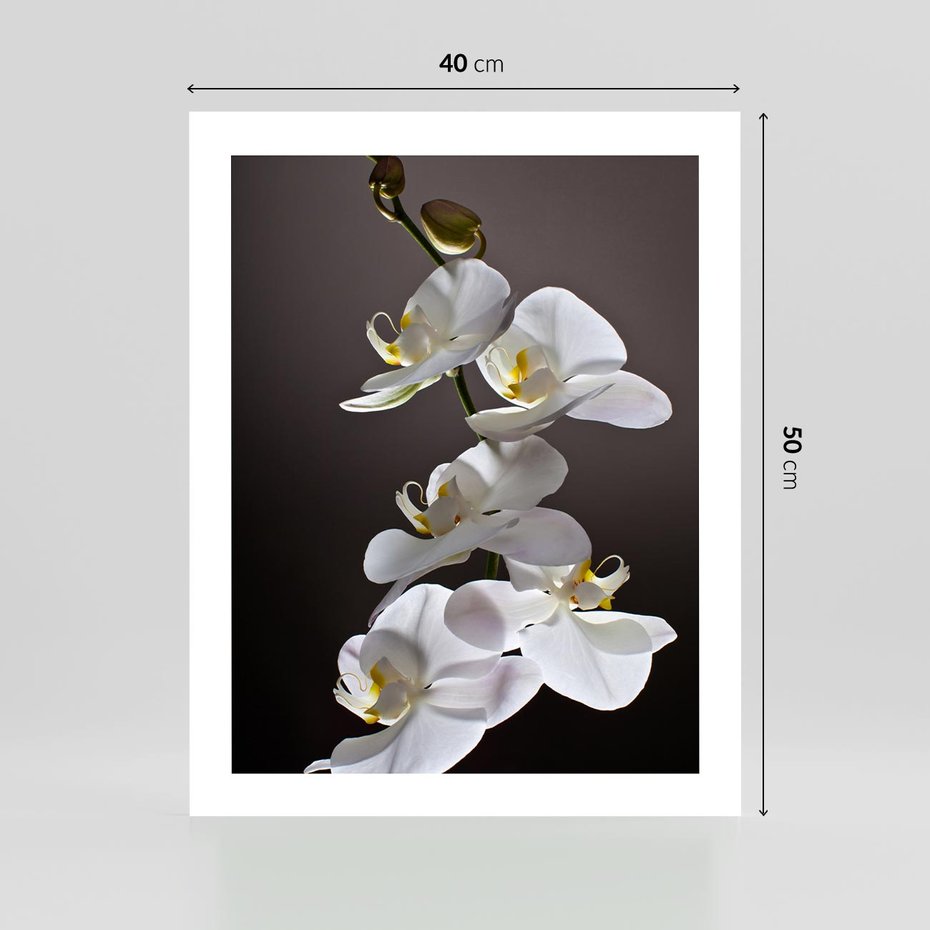 Plakat bez ramy 40x50 - SPA: harmonia z kwiatami - spa, kwiaty