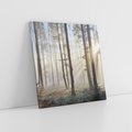Obraz na płótnie 60x60 - Magiczne zaklęcie: Las pełen drzew - las, drzewa