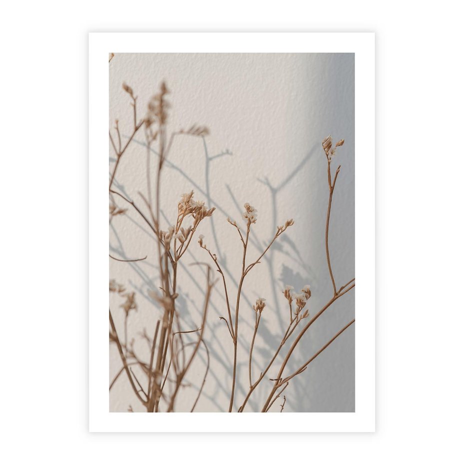Plakat bez ramy 30x40 - Boho gałązki suche - gałązki, suche