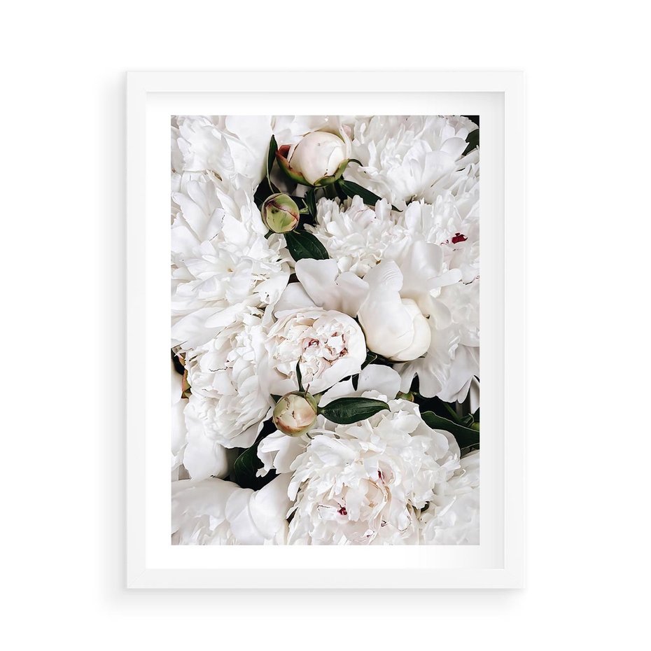Plakat w ramie 50x70 - Modne Białe Kwiaty - białe kwiaty, płatki - rama biała