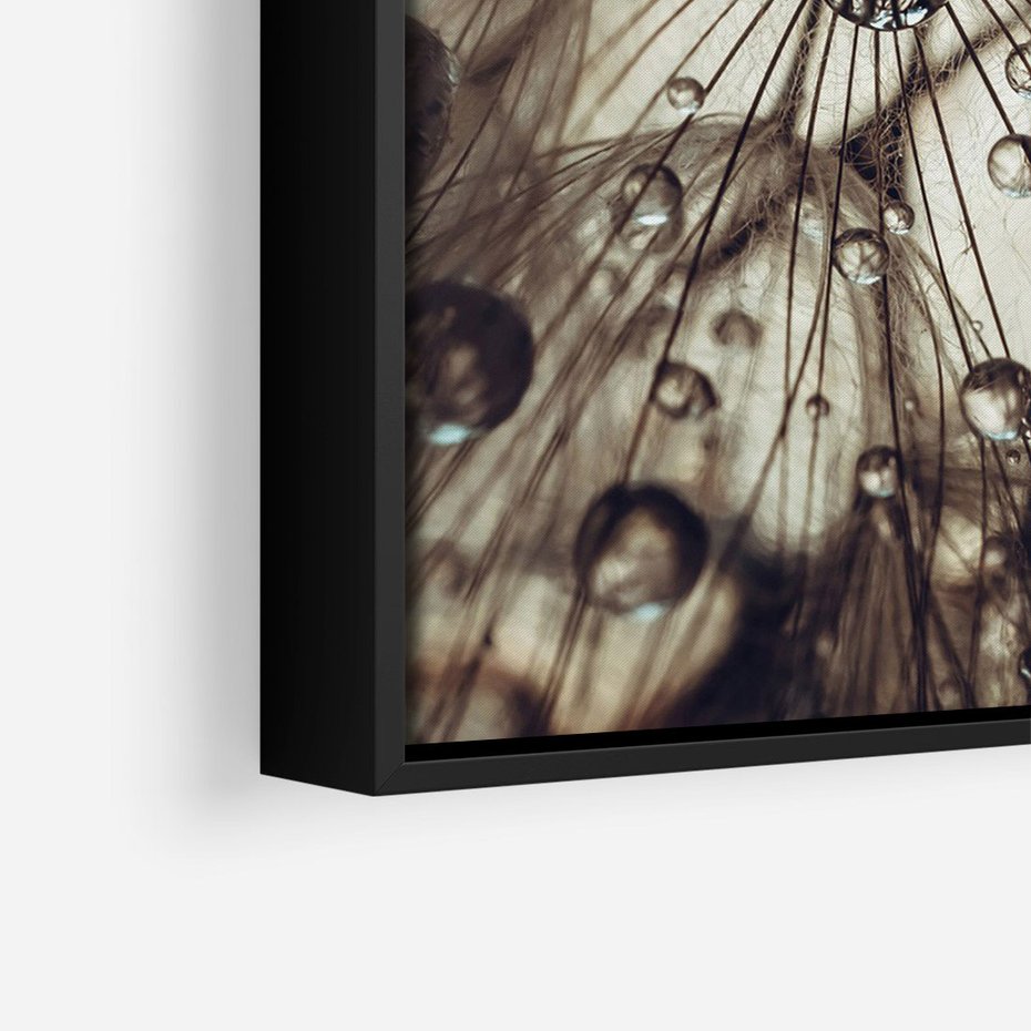 Obraz w ramie 50x70 - Lekkie dmuchawce - dmuchawce, krople - rama czarna