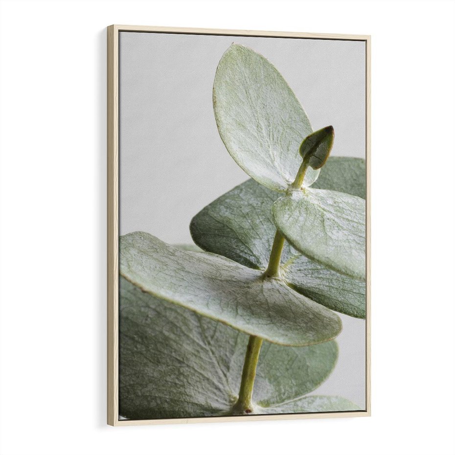 Obraz w ramie 70x100 - Eukaliptusowa zieleń - eukaliptus, zielone - rama drewno