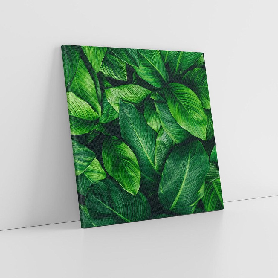 Obraz na płótnie 50x50 - Palma Liście Kwiat - palma, liście