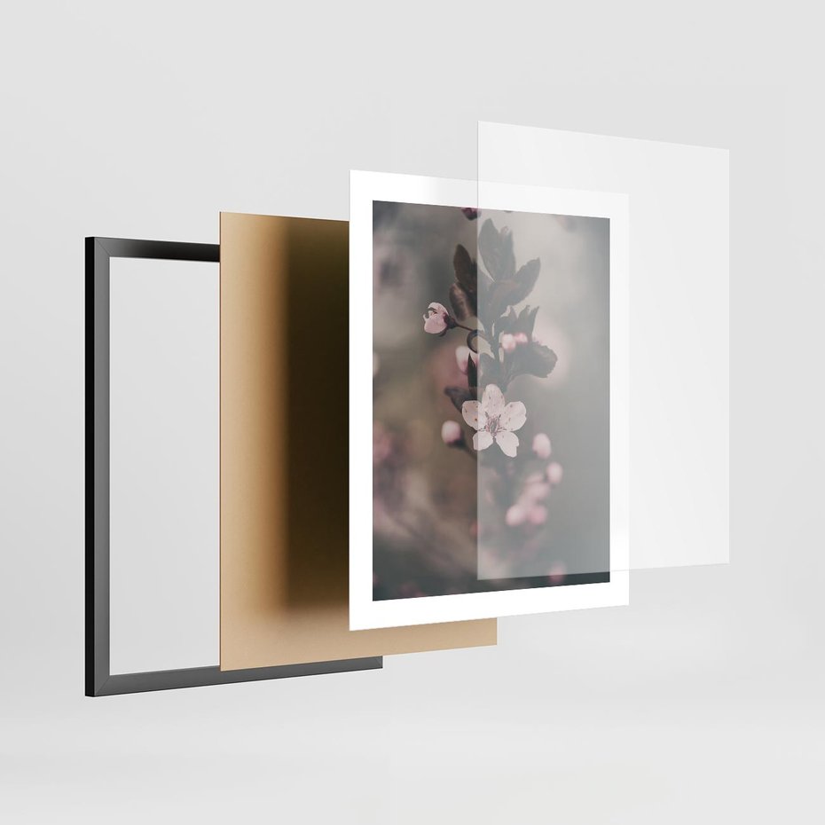 Plakat w ramie 40x50 - Przemijający Urok - kwitnąca, wiśnia - rama czarna