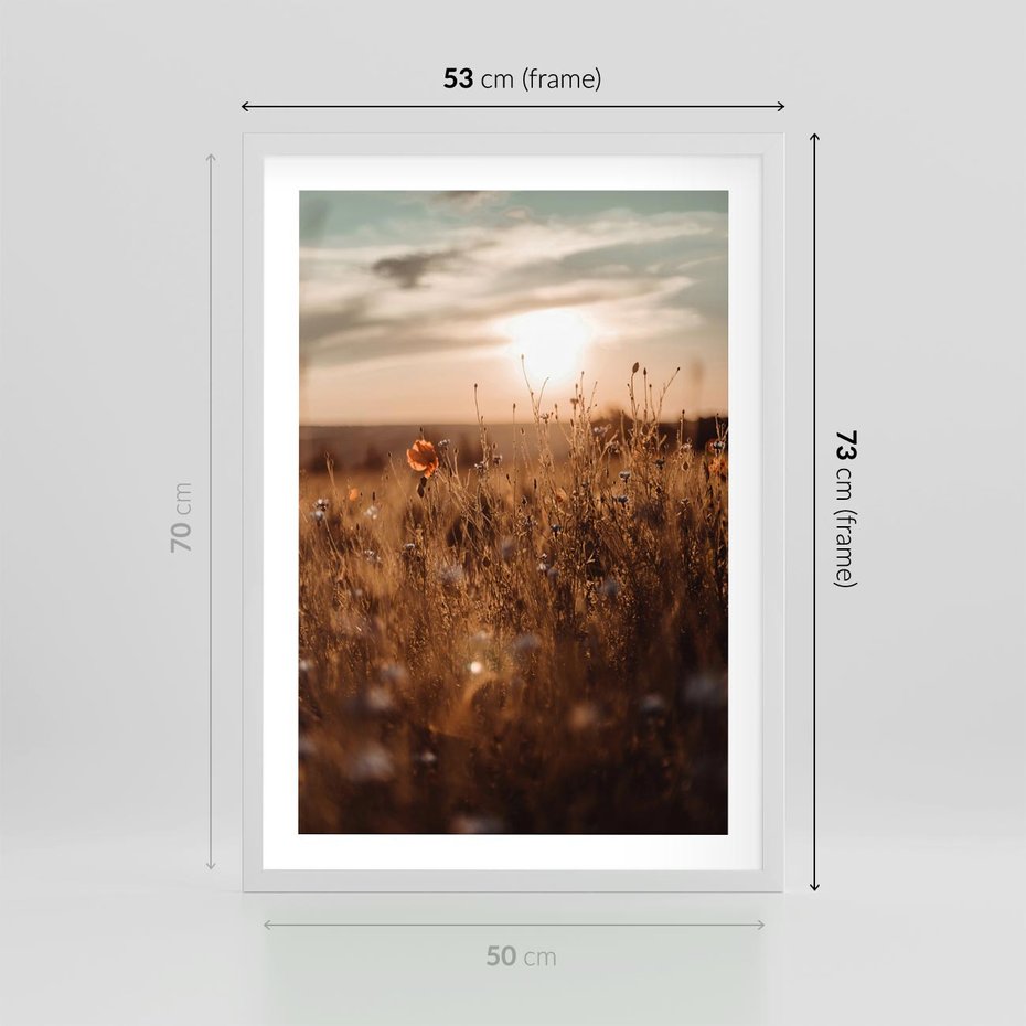 Plakat w ramie 50x70 - Zachwyt zachodem słońca na łące - zachód, słońca - rama biała