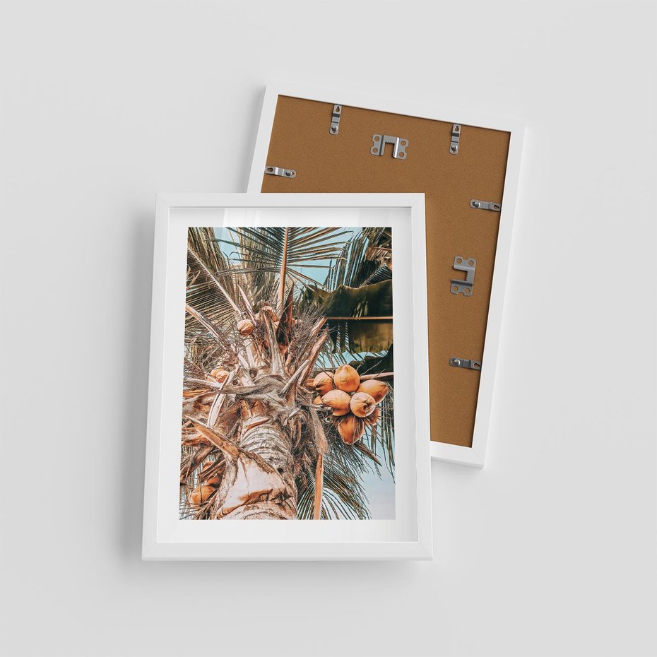 Plakat w ramie 30x40 - Tropikalna Palma: Fotografia z Kokosami - palma kokosowa, kokosy - rama biała
