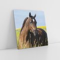 Obraz na płótnie 80x80 - Siła i piękno natury - koń, łąka