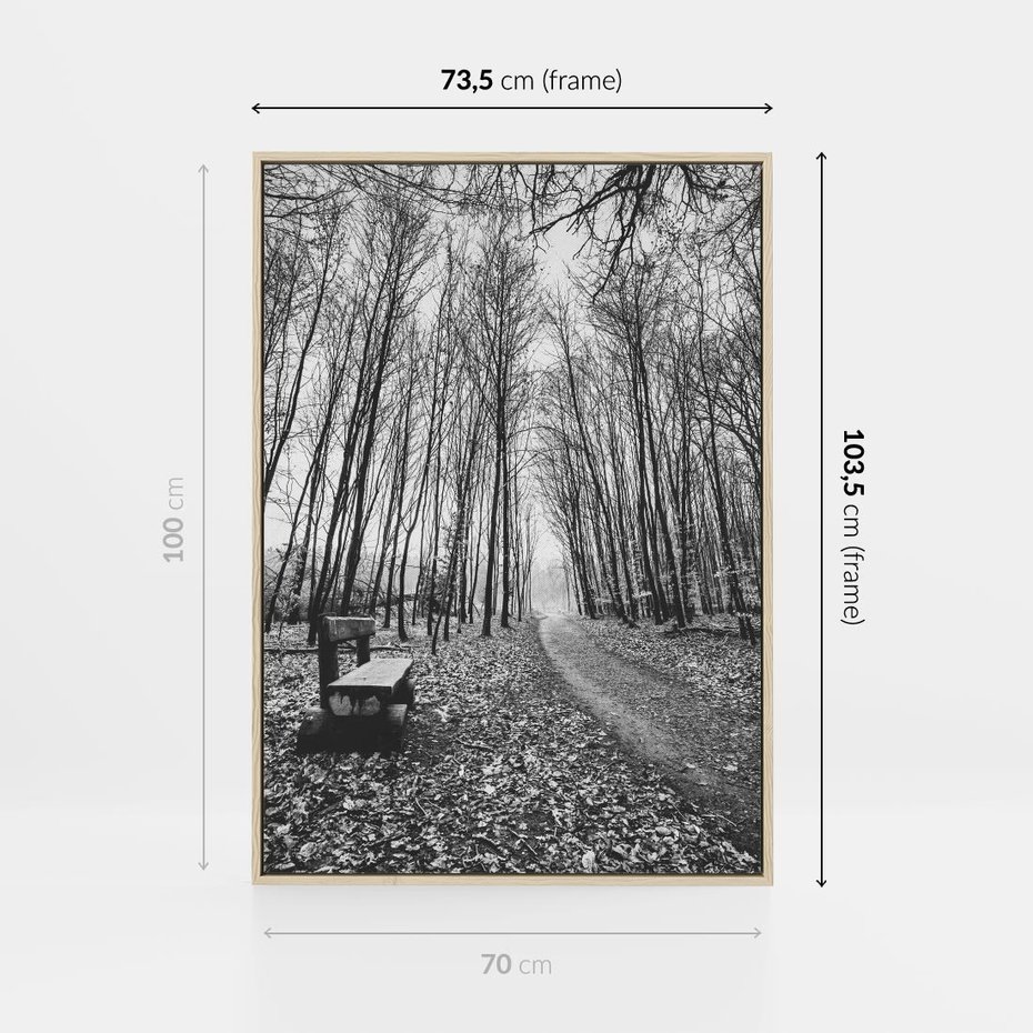 Obraz w ramie 70x100 - Spadające Liście - czarno białe zdjecie, park - rama drewno