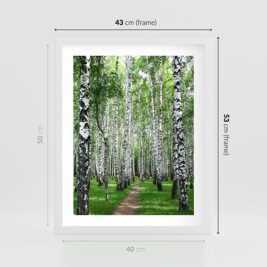 Plakat w ramie 40x50 - Magia lasu pełnego brzóz - las, brzozy - rama biała