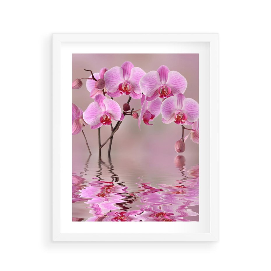 Plakat w ramie 40x50 - Relaksacyjne spa w otoczeniu storczyka - spa, storczyk - rama biała