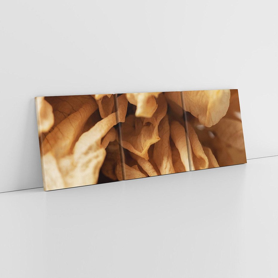 Obraz na płótnie 120x40 - Zjawiskowe zasuszone kwiaty - zasuszone, kwiaty