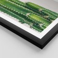 Plakat w ramie 40x50 - Minimalistyczne Kaktusy na Białym Tle - kaktusy, minimalistyczna fotografia - rama czarna