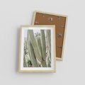 Plakat w ramie 30x40 - Duże Kaktusy w Pejzażu - kaktus, duże kaktusy na pustyni - rama drewno