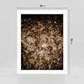 Plakat bez ramy 40x50 - Suchość Liści w Brązowych Tonach - suche liście jesień brąz