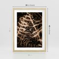 Plakat w ramie 30x40 - Liście i Paprocie - suche liście, paprocie - rama drewno