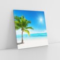 Obraz na płótnie 40x40 - Wakacyjne uniesienie: plaża i palma - plaża, morze