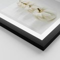 Plakat w ramie 30x40 - Białe Dynie - białe dynie, jesień - rama czarna