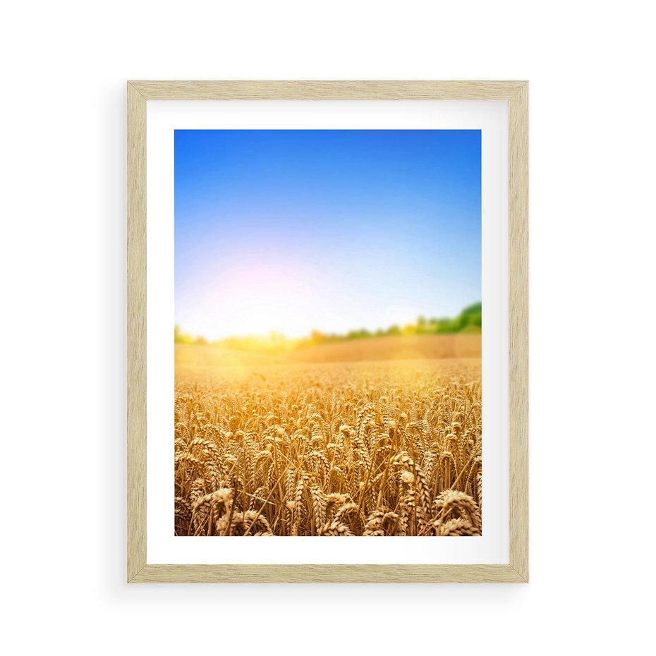 Plakat w ramie 40x50 - Żyzne Pola - pole, pszenicy - rama drewno