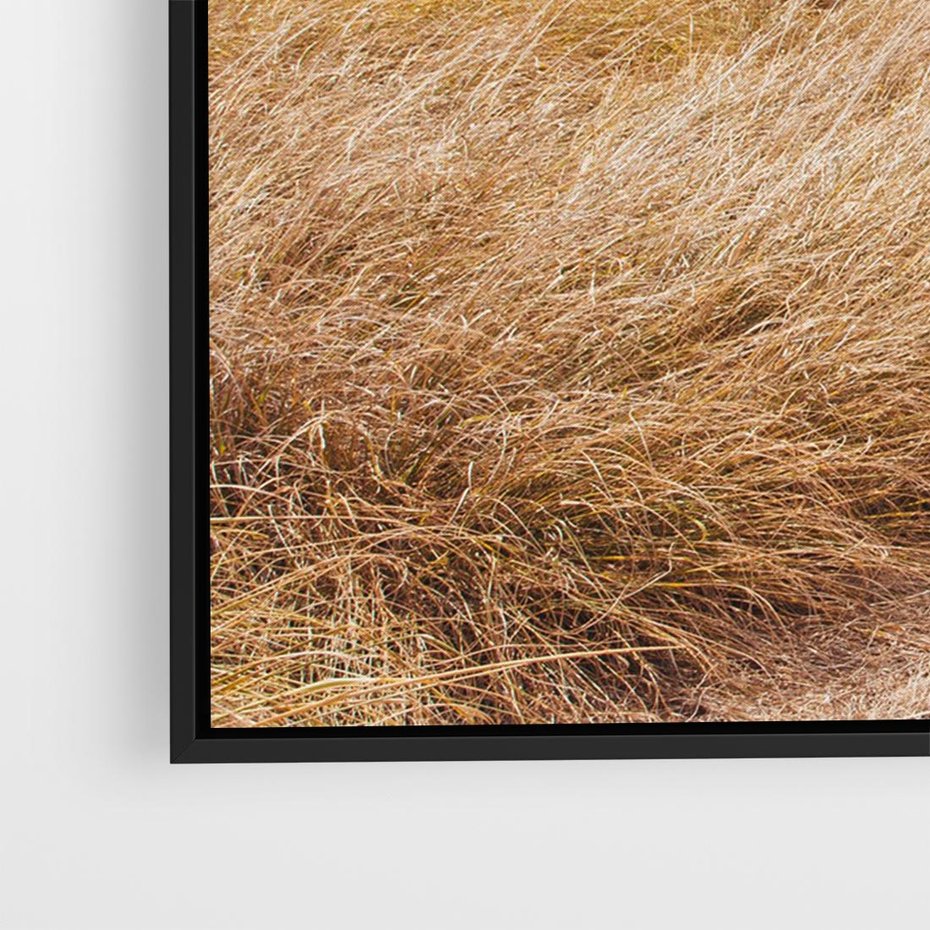 Obraz w ramie 70x50 - Tajemnicza Ścieżka - latarnia morska w oddali, suche trawy - rama czarna