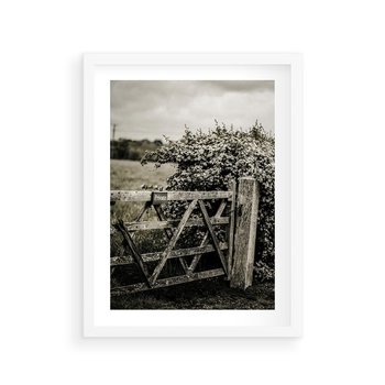 Plakat w ramie 50x70 - Wiejski Urok: Stary Płot i Kwitnący Krzew - rustykalne zdjęcie, stary płot - rama biała