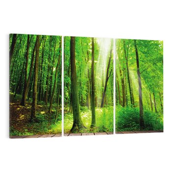 Obraz na płótnie 120x80 - Spacer po urokliwej dróżce w lesie - las, dróżka