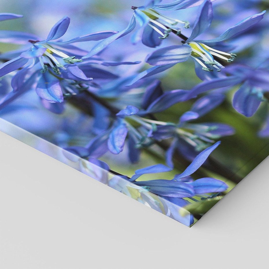 Obraz na płótnie 60x60 - Kwiatowa symfonia natury - kwiat, kwiaty