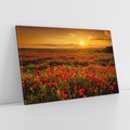 Obraz na płótnie 100x70 - Makowe uczucia - maki, kwiaty