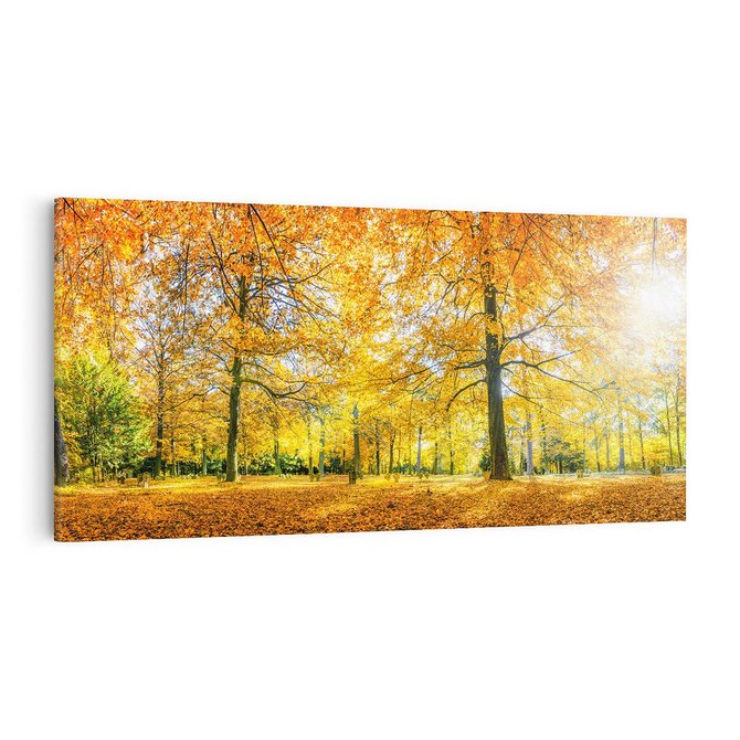 Obraz na płótnie 100x50 - Jesień w Lesie: Urok Lasu - jesień, las