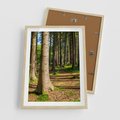 Plakat w ramie 50x70 - Las: harmonia natury - las, drzewa - rama drewno