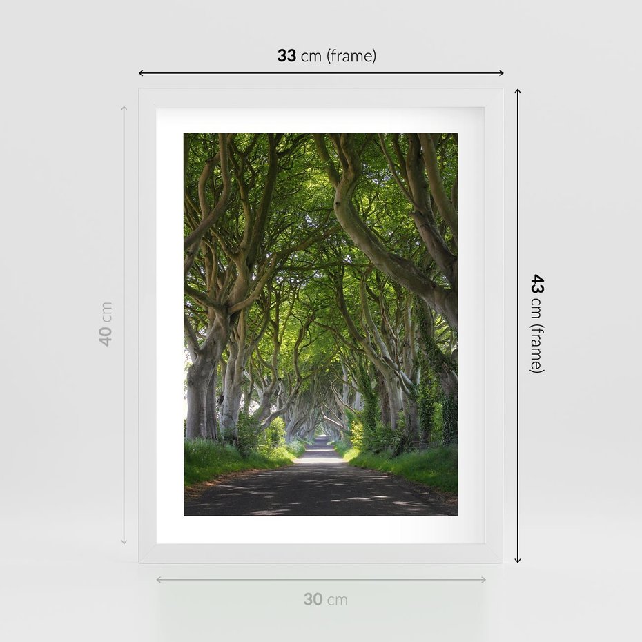 Plakat w ramie 30x40 - Magiczny Las - drzewa, las - rama biała