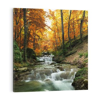 Obraz na płótnie 60x60 - Urok lasu: drzewa i strumyk w harmonii - las, drzewa