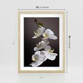 Plakat w ramie 30x40 - SPA: harmonia z kwiatami - spa, kwiaty - rama drewno