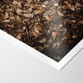 Plakat bez ramy 30x40 - Brązowe Liście w Scenerii - suche liście jesień brąz