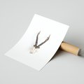 Plakat bez ramy 40x50 - Minimalistyczne Poroże Jelenia - poroże jelenia na ścianie, minimalizm