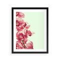 Plakat w ramie 40x50 - Orchidea - delikatne kwiaty - orchidea, kwiaty - rama czarna