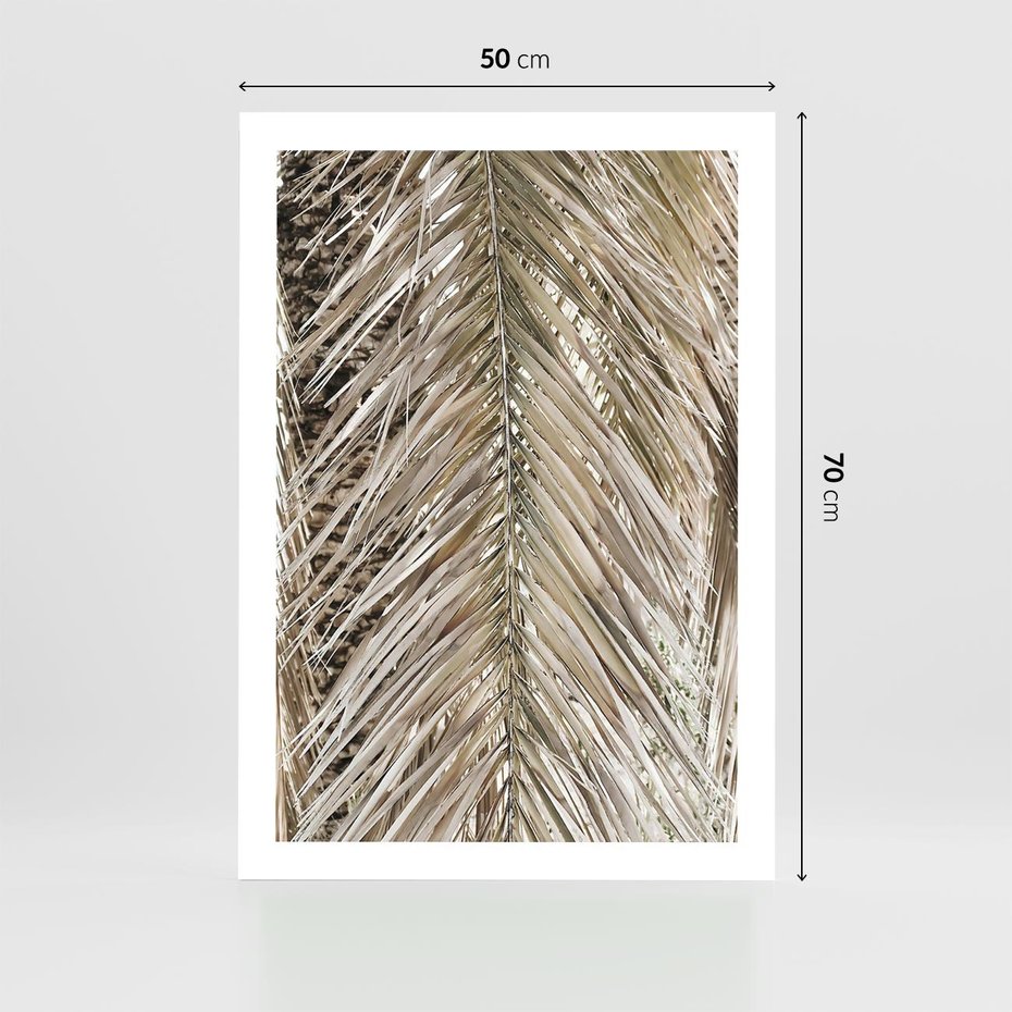 Plakat bez ramy 50x70 - Boho Urok Palmy: Zbliżenie Natury - sucha palma, zbliżenie