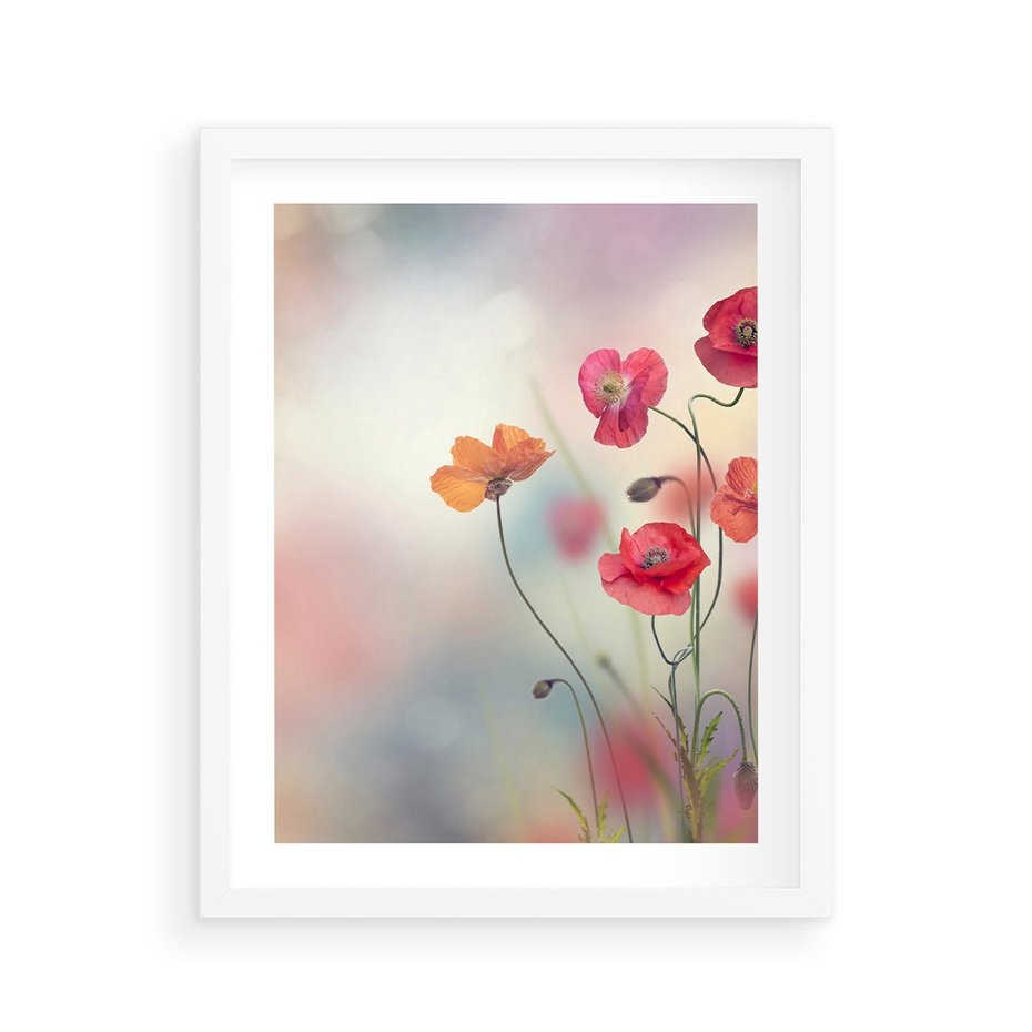 Plakat w ramie 40x50 - Urok natury - kwiaty, akwarela - rama biała