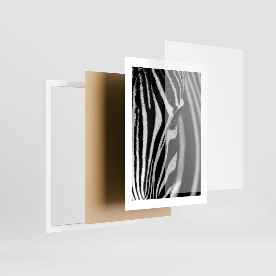 Plakat w ramie 30x40 - Pasy Zebr - zebra, paski - rama biała