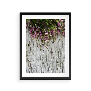 Plakat w ramie 40x50 - Fioletowe Wrzosy - wrzosy, fiolet - rama czarna